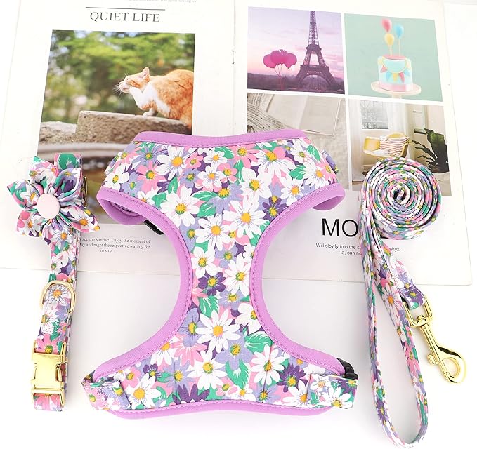 Beirui Cute Girl Dog Collars, Harnesses & Leashes Set - Adjustable Dog Collar and Leash Set with Flower - Soft Mesh Dog Vest Harness for Puppies Small Medium Dogs (Purple,XS)