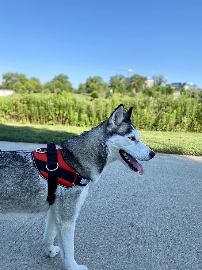 ShawnCo Essential Dog Harness, No-Pull Pet Vest with 3 Leash Clips, No Choke, Reflective, Adjustable and Padded, for Easy Walking and Training for Small, Medium and Large Dogs (Mustang Red, XL)