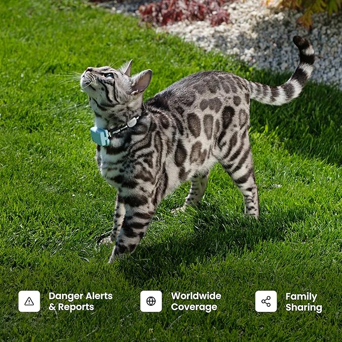 Tractive XL Smart Dog GPS Tracker | Live Pet Tracker with Virtual Fence | Vital Signs Monitoring of Heart & Respiratory Rate | Up to 1-Month Battery Life | Dog Collar Attachment (Green)