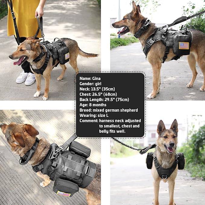 Forestpaw Tactical Dog Harness for Large Dogs,Tactical Dog Collar with Bungee Leash Set,No Pull Military Dog Harness for Walking Training,Adjustable for Medium Large Dogs,Black,Chest 19.5-41.5"