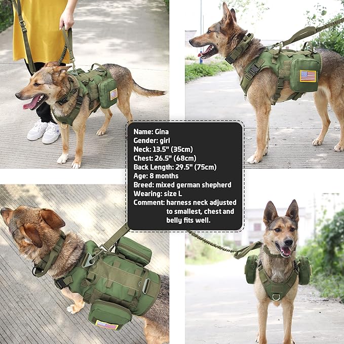 Forestpaw Tactical Dog Harness for Large Dogs,Tactical Dog Collar with Bungee Leash Set,No Pull Military Dog Harness for Walking Training,Adjustable for Medium Large Dogs,Green,Chest 21.5-45"
