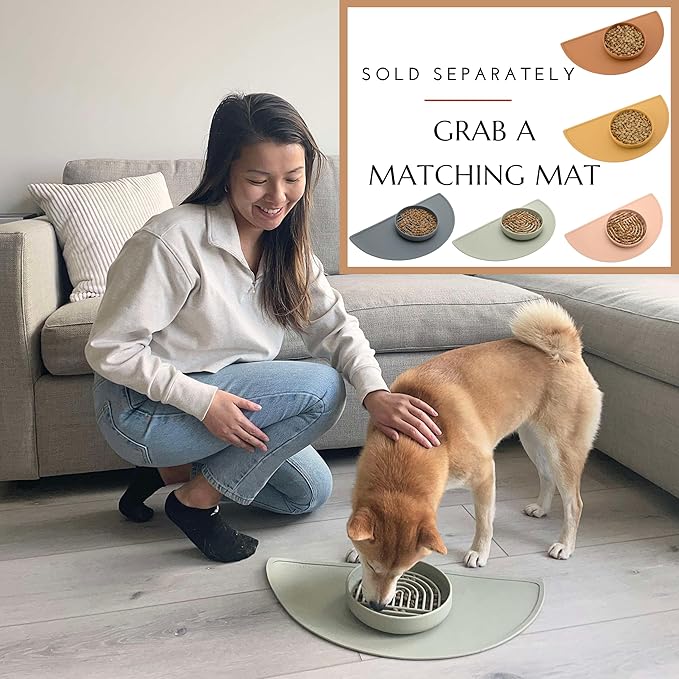 Should We Go? Slow Feeder for Dogs & Puppies, The Slowdown Bowl Silicone Slow Eating, Modern Lick Mat Design, Reduces Gulping, Fits 2 Cups, 7.5” Across x 1.5” Tall, Mealtime Challenge, Medium-Sage