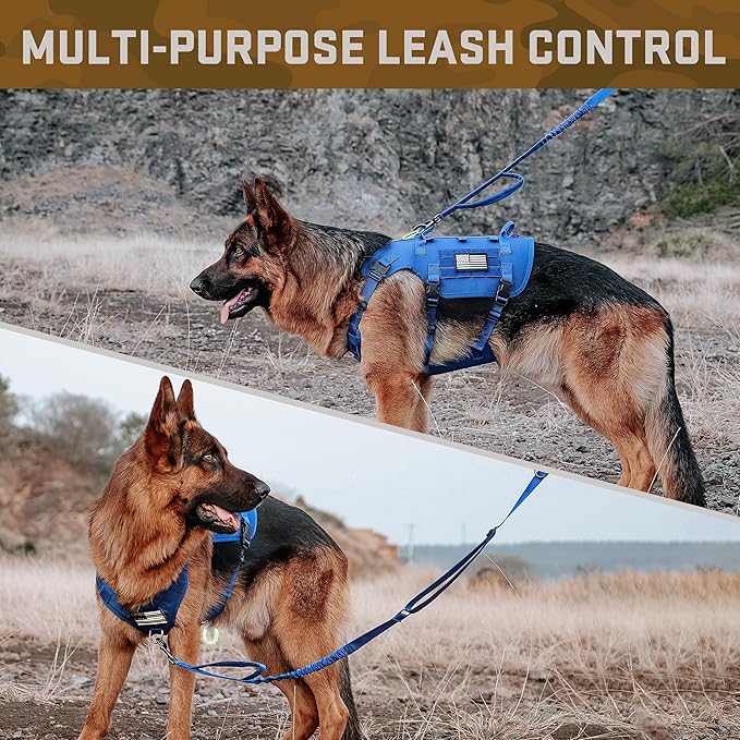 Forestpaw Tactical Dog Harness for Large Dogs,Tactical Dog Collar with Bungee Leash Set,No Pull Military Dog Harness for Walking Training,Adjustable for Medium Large Dogs,Blue,Chest 15.5-25.5"