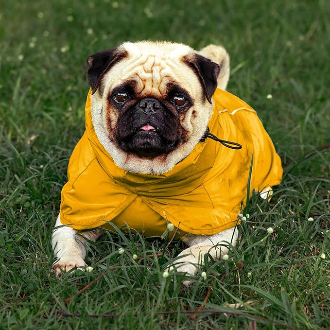 Tuff Pupper Waterproof Dog Raincoat | Full-Body Windproof Rain Jacket for Dogs | Reflective Strips | Breathable Mesh Lining | Adjustable Fit | Leash Port | Small Medium Large XL XXL Dogs (Yellow, M)