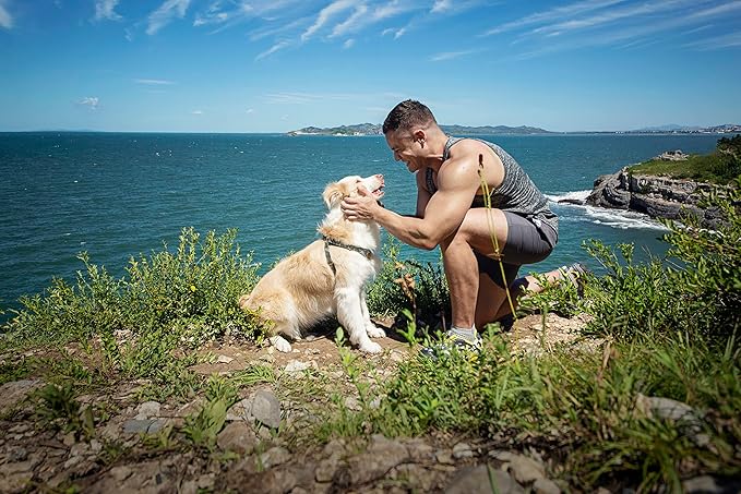 Dog Harness, No Pull Dogs Harness and Multi-Function Leash Set for Medium Dogs Easy Walk Everyday Adjustable Soft Dog Vest Harness Fashionable Dog Accessories Camouflage Green-Relaxed Medium