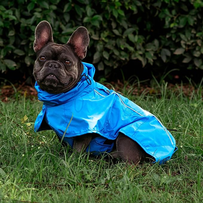 Tuff Pupper Waterproof Dog Raincoat | Full-Body Windproof Rain Jacket for Dogs | Reflective Strips | Breathable Mesh Lining | Adjustable Fit | Leash Port | Small Medium Large XL XXL Dogs (Blue, S)