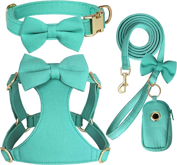 Beirui Cute Extra Small Dog Harness Set with Three Detachable Bows, Adjustable Step in Dog Harness Collar and Leash Set with Secure Metal Buckle for Daily Walking, Parties & Holiday Outfits(Teal,XS)