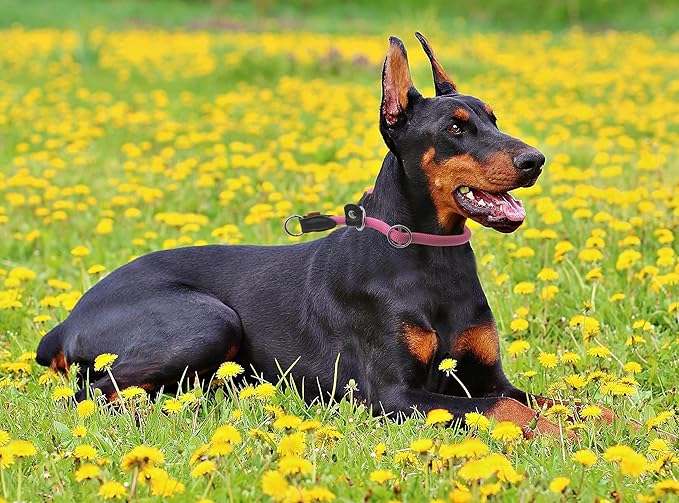Braided Round Martingale Dog Collar, Training Collar with Slidable Stop Ring and Adjustable Stopper - Ideal for Extra Large Dogs (XL(1/2") - 24" Long, Pink)