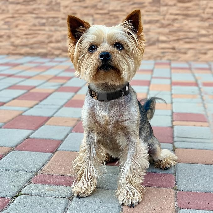 AirTag Dog Collar for Small Medium Large Breed - Adjustable Cute Pattern Dog Collar with Airtag Holder - Soft Leather Tracker GPS Apple Air Tag Pet Collars (X-Large, 20"-25" Neck Fit, Leopard)