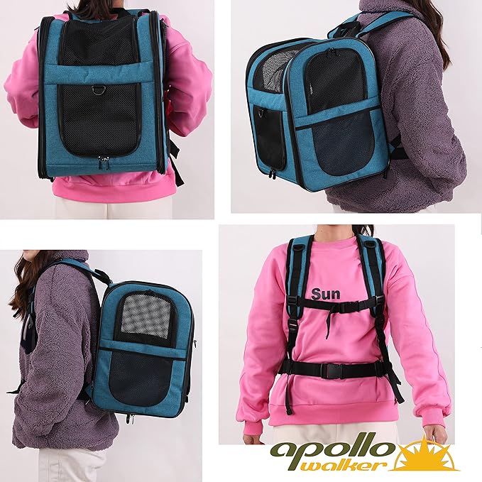 Apollo Walker Dog & Cat Carrier Backpack for 4-18lb Pets - Ventilated Safe Design with Padded Back Support, Breathable Mesh Pet Backpack for Hiking, Travel, Outdoor (Teal)