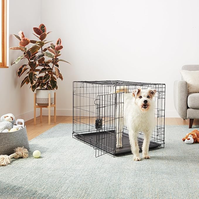 Amazon Basics - Durable, Foldable Metal Wire Dog Crate with Tray, Double Door, 36 x 23 x 25 in, Black