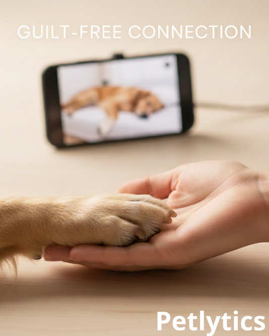 The Science of 'Guilt-Free Connection': 5 Data Tips to Ease Separation Anxiety