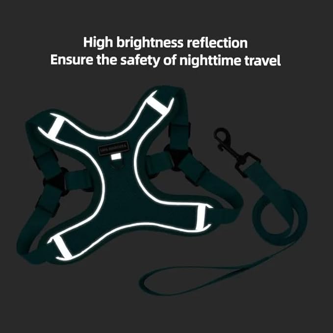 Dog Harness and Leash Set, Adjustable Triangle, Reflective Adjustable Puppy Vest, No Pull Soft Mesh Harness for Small, Medium Dogs, Cats (Red, L)