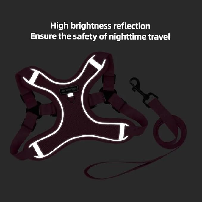 Dog Harness and Leash Set, Adjustable Triangle, Reflective Adjustable Puppy Vest, No Pull Soft Mesh Harness for Small, Medium Dogs, Cats (Fuchsia, L)