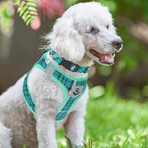 PUPTECK Adjustable Dog Harness Collar and Leash Set Step in No Pull Pet Harness for Small Medium Dogs Puppy and Cats Outdoor Walking Running, Soft Mesh Padded Reflective Vest Harnesses, Lake Green M