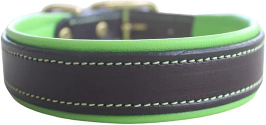 Custom Leather Dog Collars, Leather and Brass Dog Collar, 5/8, 3/4 and 1 Width Leather Dog Collars, Included Custom Engraved Personalized Name Plate (1 Inch Width)