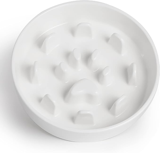 HAOTOP Ceramic Fun Slow Feeder Bowl, Porcelain Slow Eater Bowl for Medium Sized Dogs (White)