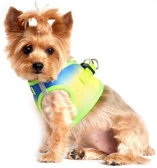 Doggie Design No Choke Dog Harness - Simple Step-in and Go Dog Vest for Small, Medium, and Large Breeds - Breathable Mesh Polyester Pet Harness - Cobalt Sport - M