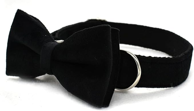 Dog Collar Custom Personalized Engraved Name and Phone Number for Puppy Small Medium Large Pets (L, Black)