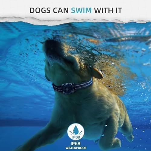 GPS Tracker for Dogs, Mini GPS Cat Tracker, Smart Pet Activity Tracker (iOS Only), No Monthly Fee, Compatible with Apple Find My, Anti-Lost, Finder Tag for Vehicles/Pets/Kids/Items (2 Pack)