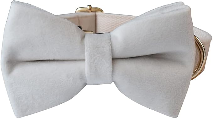 Dog Collar Custom Personalized Engraved Name and Phone Number for Puppy Small Medium Large Pets (S, Cream)