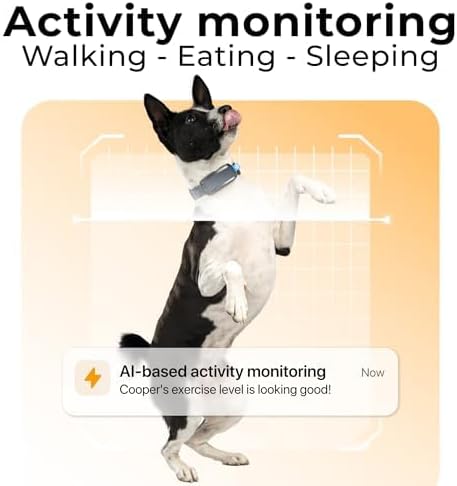 Invoxia Minitailz - Health & GPS Tracker for Dogs #1 - Cardiac and Respiratory Scan - Real-time Location - Activity and Well-Being Analysis - Compact, Lightweight, and Easy to Install