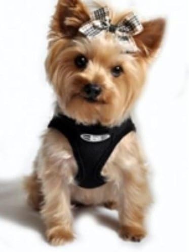 Choke-Free Mesh Dog Harness | Black