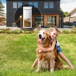 High Tech Pet Power Pet Medium Electronic Pet Door PX-1