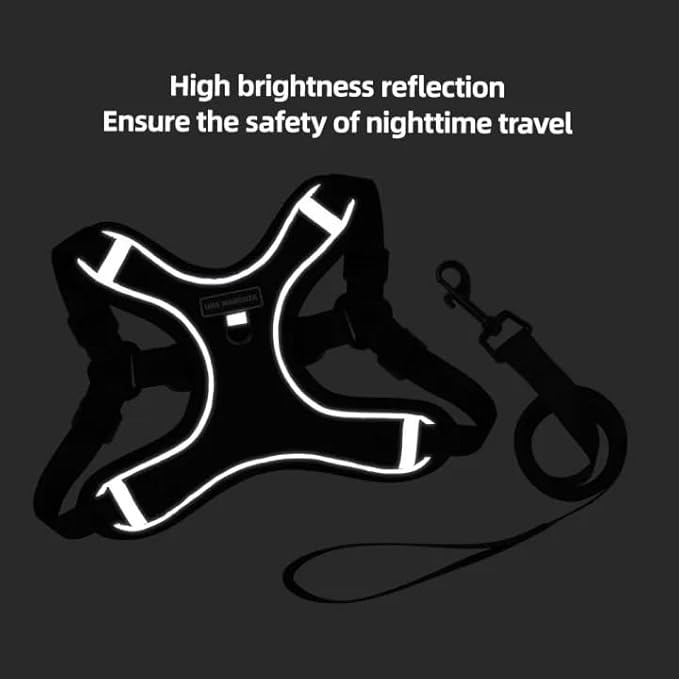 Dog Harness and Leash Set, Adjustable Triangle, Reflective Adjustable Puppy Vest, No Pull Soft Mesh Harness for Small, Medium Dogs, Cats (Black, L)