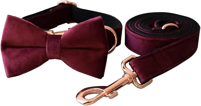 Dog Collar Custom Personalized Engraved Name and Phone Number for Puppy Small Medium Large Pets (XL, Red Wine)