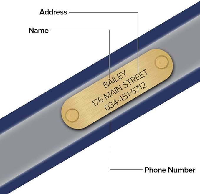 Regal Dog Products Large Blue Reflective Dog Collar with Custom Engraved Name Plate and Heavy Duty Center Ring | Waterproof Biothane Personalized Dog Collars - Other Sizes for Small & Medium Dogs