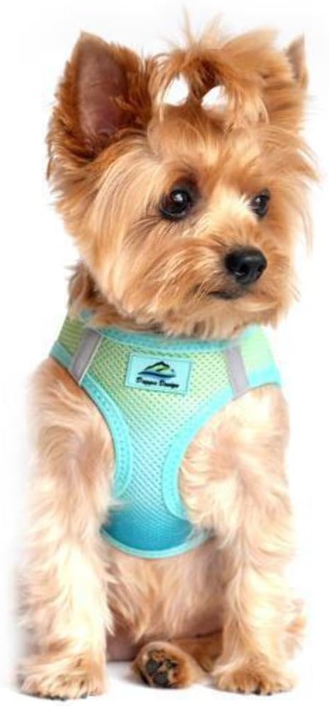 American River Dog Harness Ombre Collection (XS, Aruba Blue)
