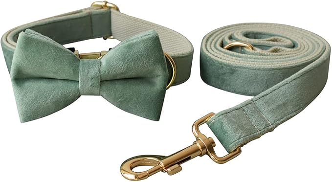 Dog Collar Custom Personalized Engraved Name and Phone Number for Puppy Small Medium Large Pets (M, Fruit Green)