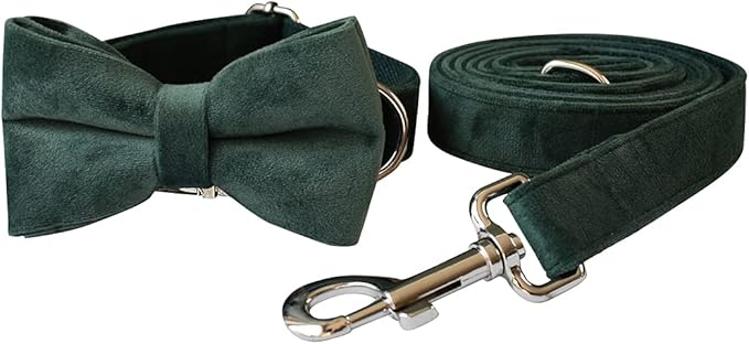 Dog Collar Custom Personalized Engraved Name and Phone Number for Puppy Small Medium Large Pets (M, Green)