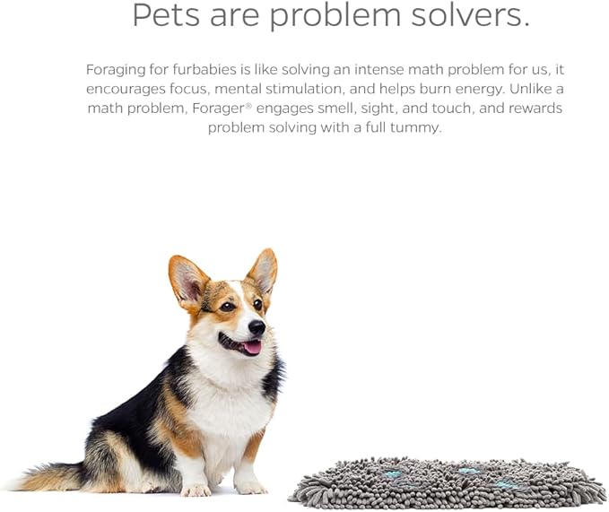 Pet Parents Forager Snuffle Mat with SoftSnout & Non-Slip Backing, Slow Feeder for Large & Small Dogs (Meadow 12")