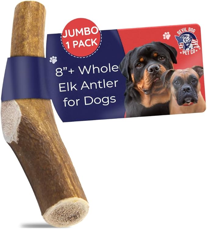 Devil Dog Pet Co. Elk Antlers for Dogs, Jumbo 8"+, 1 Pack, Grade A Long Lasting Chew for Aggressive Chewers, Premium USA Naturally Shed Antler – Healthy, No Odor, Durable Dog Chew