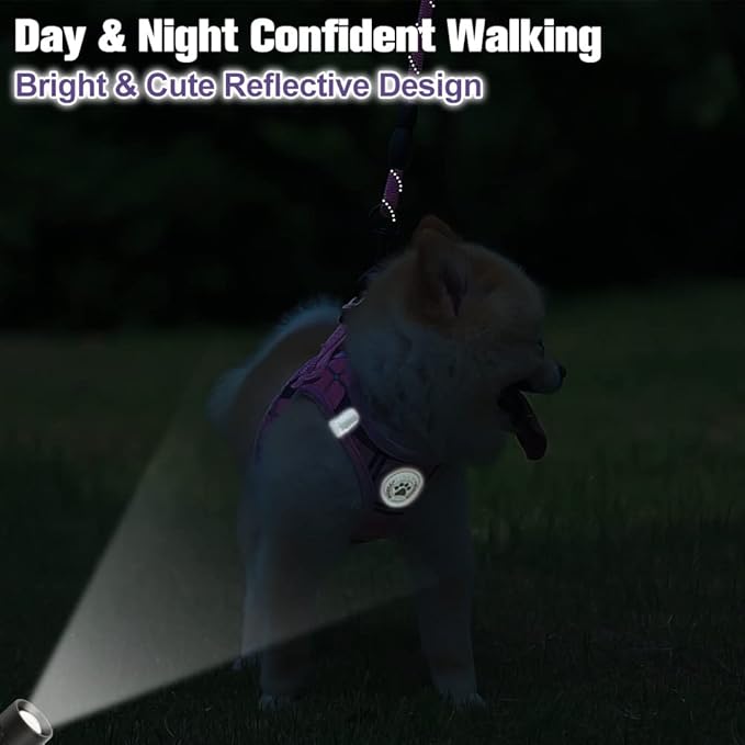 BEAUTYZOO Small Dog Harness and Leash Set,Step in No Choke No Pull Soft Mesh Dog Harnesses Reflective for Extra-Small Medium Puppy Dogs and Cats, Plaid Dog Vest Harness for XS S Pets, Pink XS