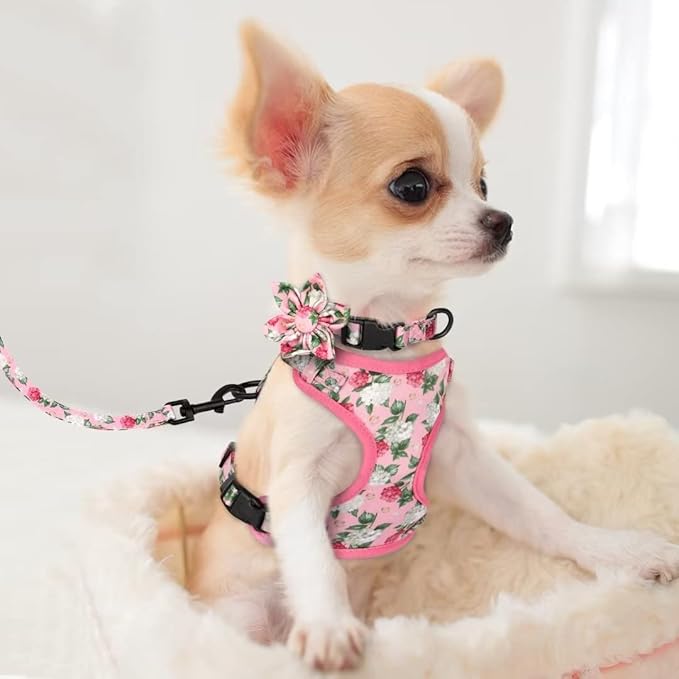 Beirui Cute Girl Dog Collars, Harnesses & Leashes Set - Adjustable Dog Collar and Leash Set with Flower - Soft Mesh Dog Vest Harness for Puppies Small & Extra Small Dogs Cats(Pink,XXS)