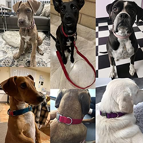 Dog Collar Custom Personalized Engraved Name and Phone Number for Puppy Small Medium Large Pets (S, Purple)