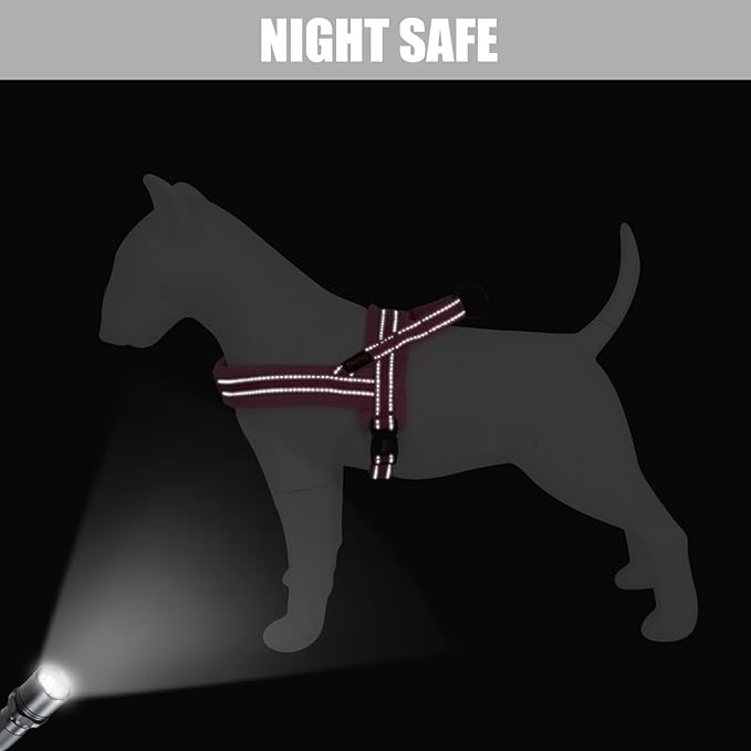 Didog Soft Flannel Padded Dog Vest Harness, No Pull/Quick Fit Reflective Dog Strap Harness, Easy for Training Walking (M:Chest 21-26", Pink)