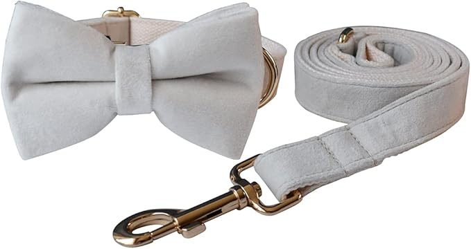 Dog Collar Custom Personalized Engraved Name and Phone Number for Puppy Small Medium Large Pets (L, Cream)