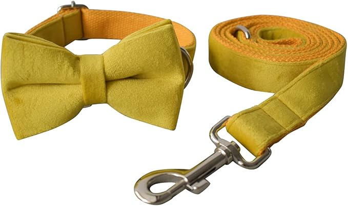 Dog Collar Custom Personalized Engraved Name and Phone Number for Puppy Small Medium Large Pets (M, Yellow)