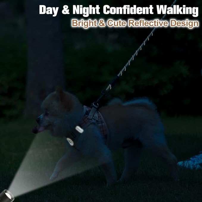 BEAUTYZOO Small Dog Harness and Leash Set,Step in No Choke No Pull Soft Mesh Dog Harnesses Reflective for Extra Small Medium Puppy Dogs and Cats, Plaid Dog Vest Harness for XS S Pets, Beige S