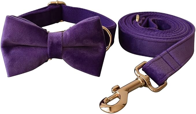 Dog Collar Custom Personalized Engraved Name and Phone Number for Puppy Small Medium Large Pets (XL, Purple)