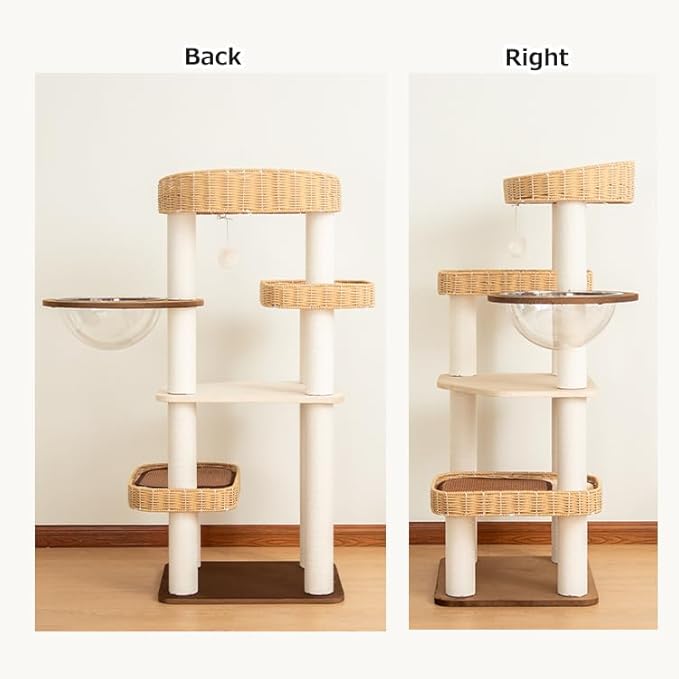 48'' Natural Wood Cat Tree with Rattan Beds & Clear Acrylic Bowl, Multi-Level Cat Tower for Indoor Cats, Modern Wooden Cat Condo with Scratch Posts (Dark Brown)