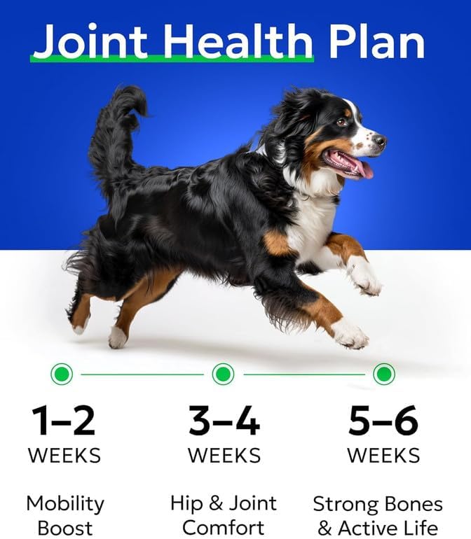 Glucosamine Chondroitin Dog Hip & Joint Supplement - Joint Pain Relief - Hip & Joint Chews for Dogs - Joint Support Large Breed - Senior Doggie Vitamin Pills Joint Health (240 Treats - Peanut Butter)