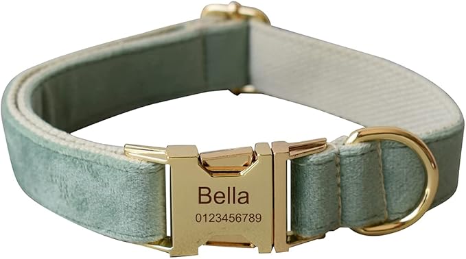 Dog Collar Custom Personalized Engraved Name and Phone Number for Puppy Small Medium Large Pets (XL, Fruit Green)