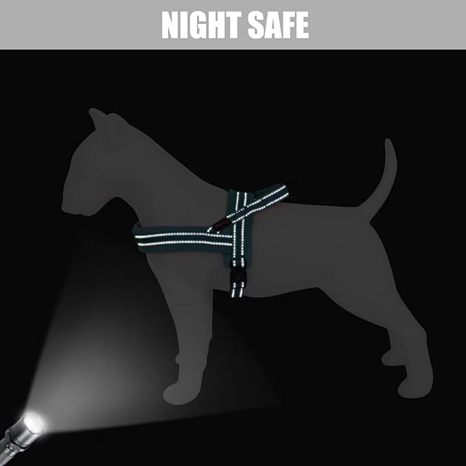 Didog Soft Flannel Padded Dog Vest Harness, No Pull/Quick Fit Reflective Dog Strap Harness, Easy for Training Walking (M:Chest 21-26", Green)