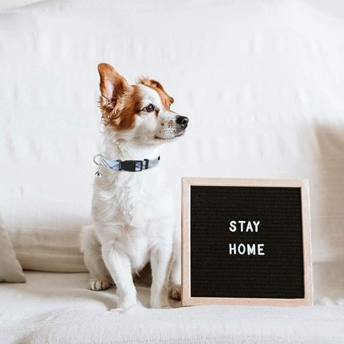 PUPTECK Adjustable Dog Harness Collar and Leash Set Step in No Pull Pet Harness for Small Medium Dogs Puppy and Cats Outdoor Walking Running, Soft Mesh Padded Reflective Vest Harnesses, Blue XXS