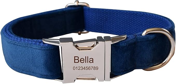 Dog Collar Custom Personalized Engraved Name and Phone Number for Puppy Small Medium Large Pets (M, Blue)